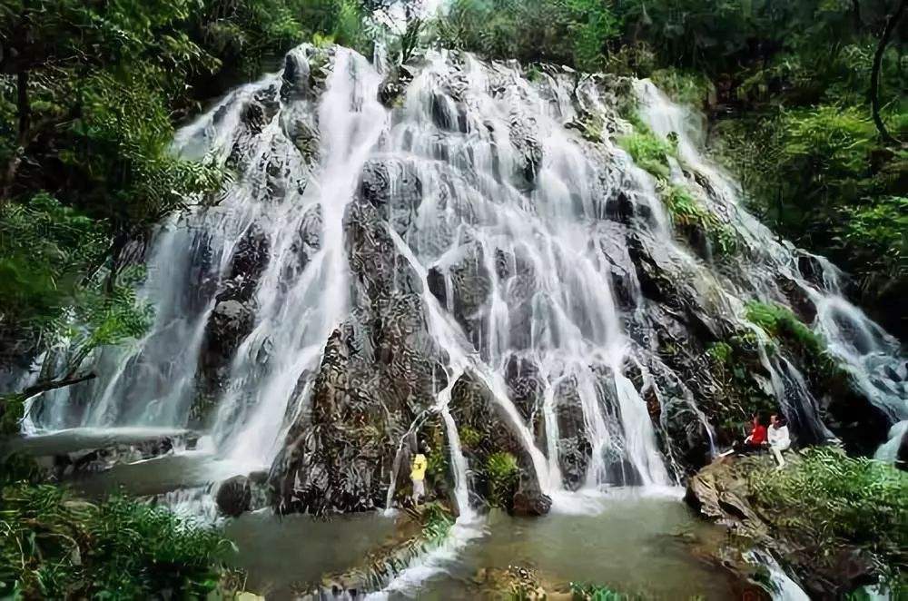 景色一般管理混乱的莫干山游客数量却逐年升高原因意想不到