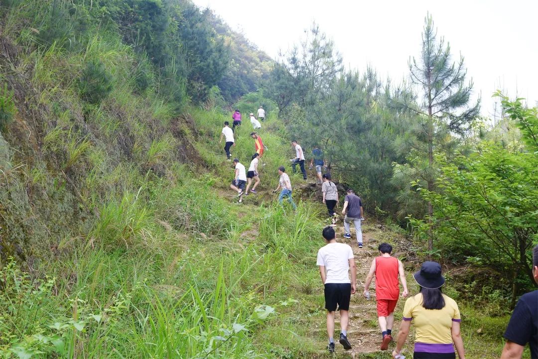 景马之后再出发公司举办夏季职工登山比赛