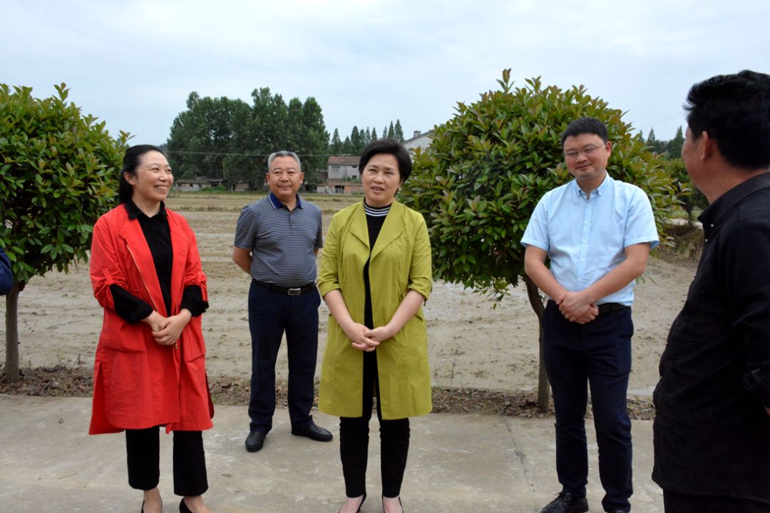 春旱连连 汛期将至 毕道丽为全县水利支招