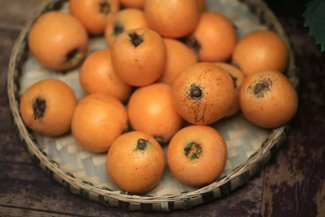 小满枇杷黄品味正当时