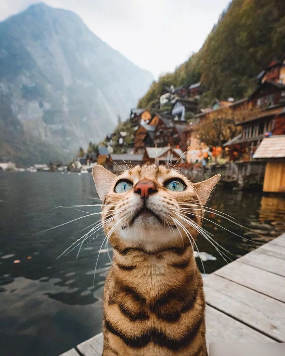 冒险猫suki的旅行大片