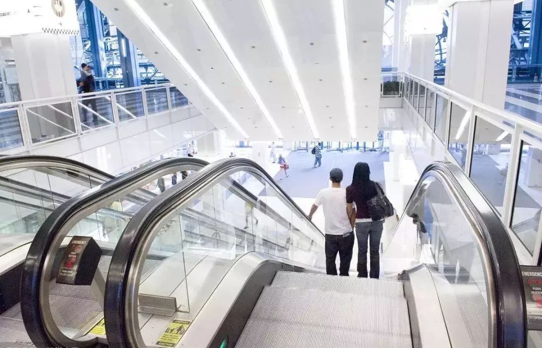 电梯里的lgb1傻傻分不清楚原来是这些意思