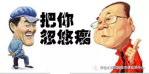 特色小镇田园综合体当下90旅游规划都在忽悠地方政府与投资人
