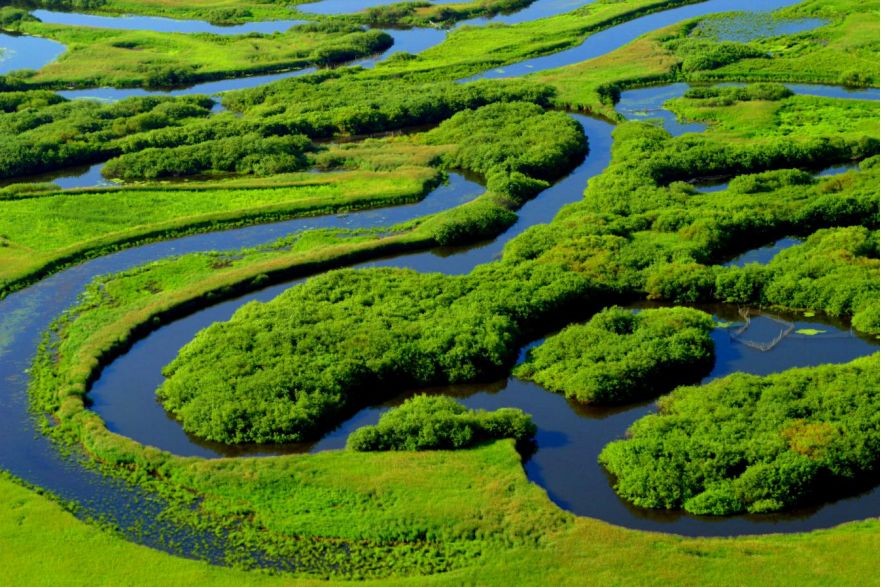 "湿地游"成生态风景线