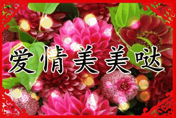 最美的祝福送给你 来自搜狐网