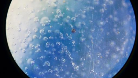 瓷器鉴定中的气泡特征