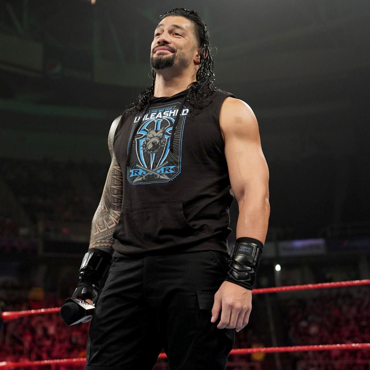 wwe摔小辉新闻bige明天将回归sd以及罗曼伦斯将面对新的对手