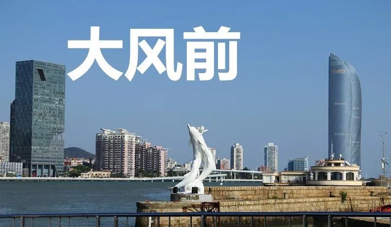 9級妖風鼓浪嶼白海豚被吹斷大樹廣告牌倒伏本週天氣太刺激