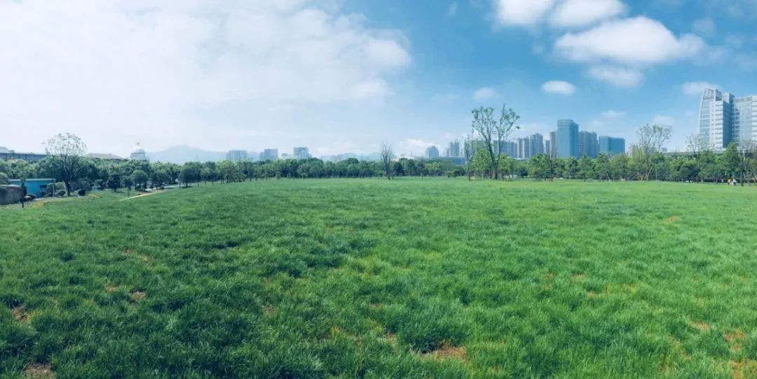 融合贯通,引入城市绿洲生态草坡理念,绿化面积28000平方米,以其平坦