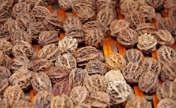 胡春良回家的路山乡野果太宽河流淌的乡愁