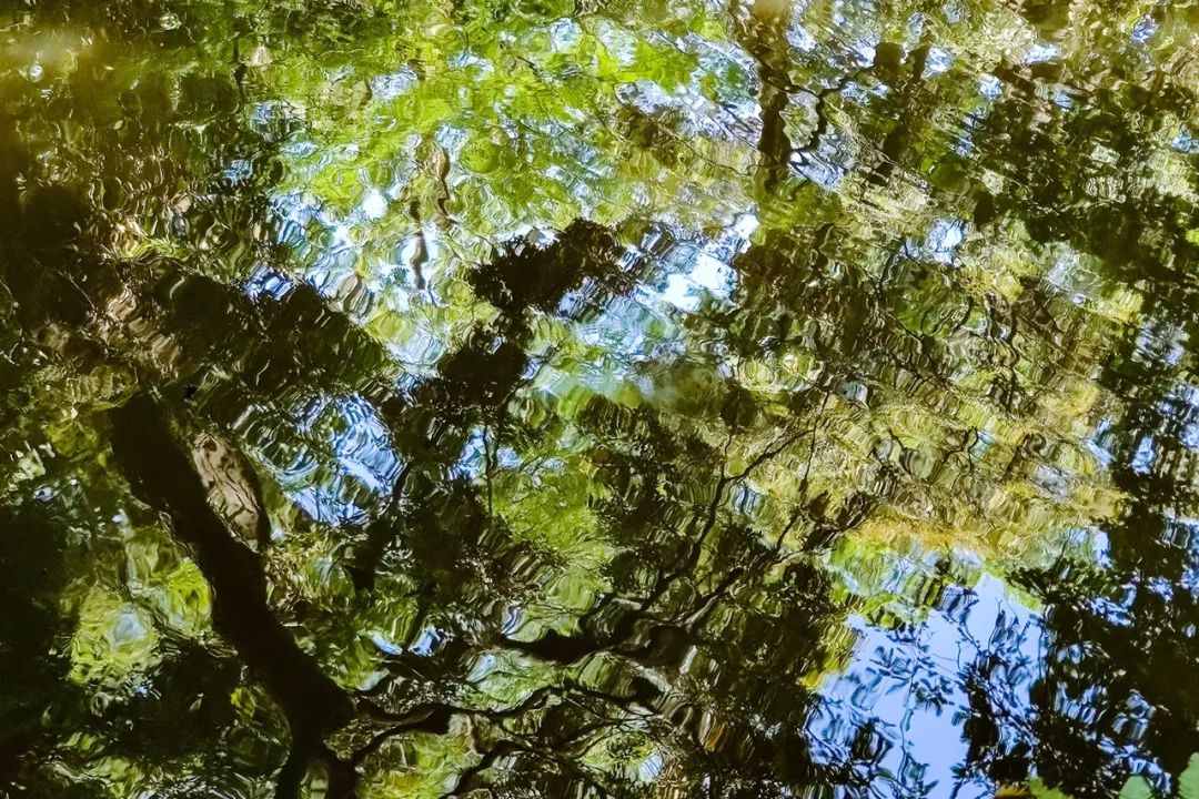 这才是我想给你们看的一加7 pro东京壁纸集!