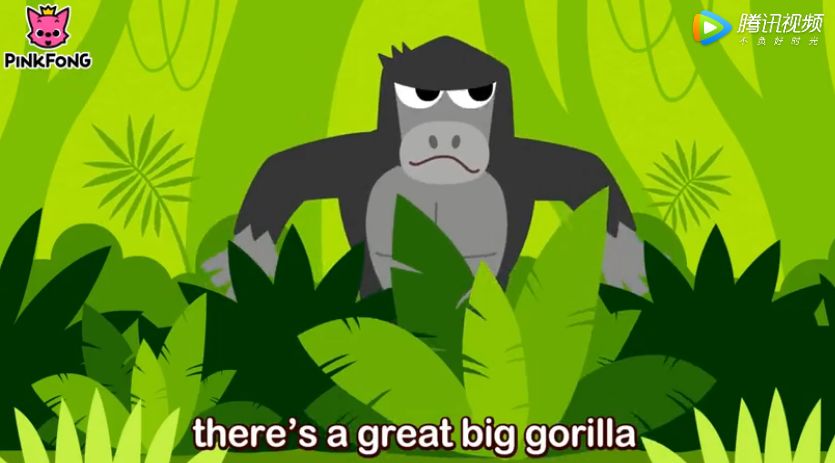 磨耳朵丨jungleboogie小动物是怎么洗衣服的呢