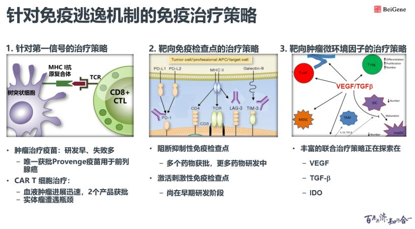 但我們在努力,針對免疫逃逸的機制,研發出相應的免疫治療策略(圖)