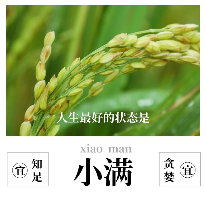 节气小报 | 人生最好是小满,花未全开月未圆