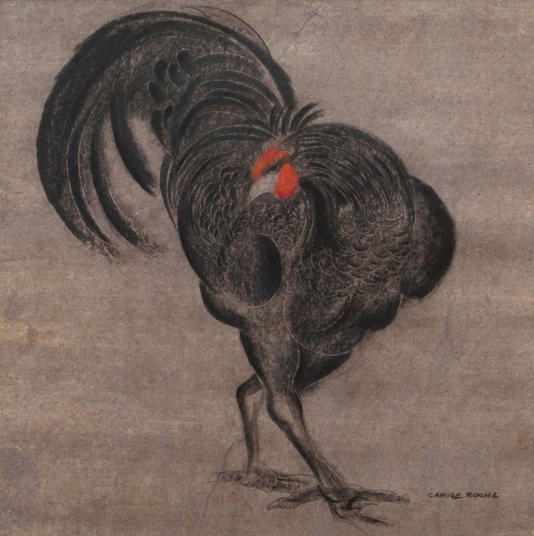 black cock 返回搜             责任编辑