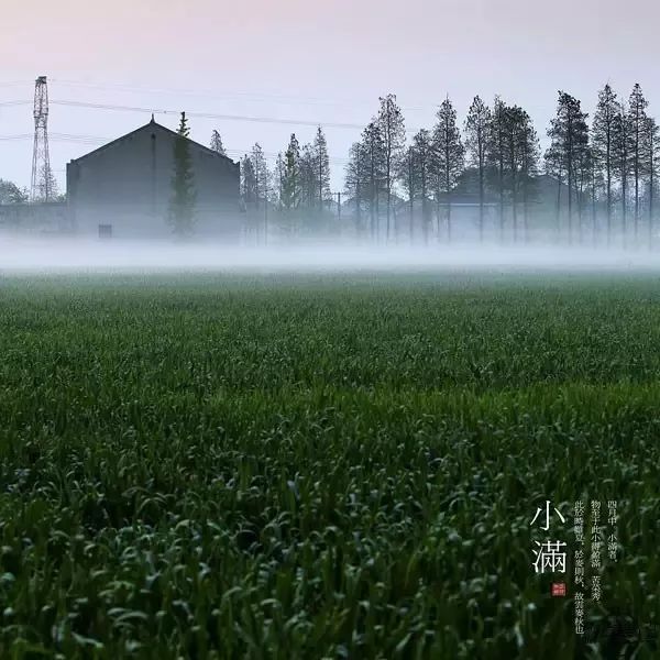 我的汉川汉川籍诗人同题诗小满