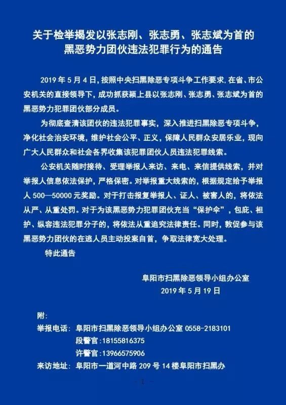 颍上张氏兄弟宣判图片