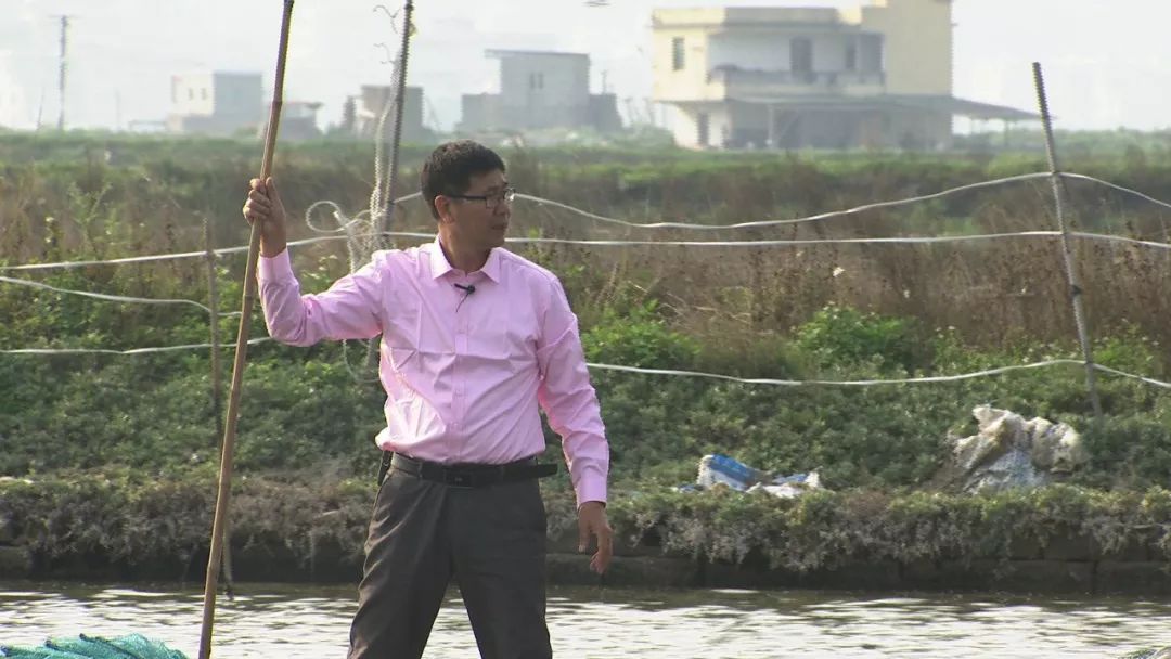 戴云峰做养殖这一行业,大家都希望用微薄的养殖成本换取丰厚的利润.