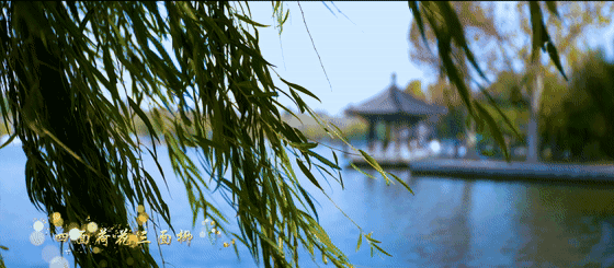 560_245gif 动态图 动图