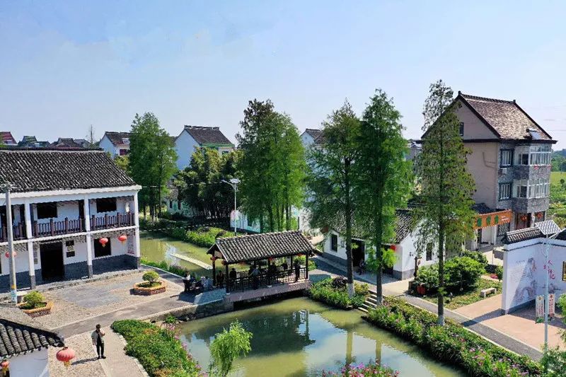 游玩林埭还有新的打开方式都家浜俞家浜乡村游等你来