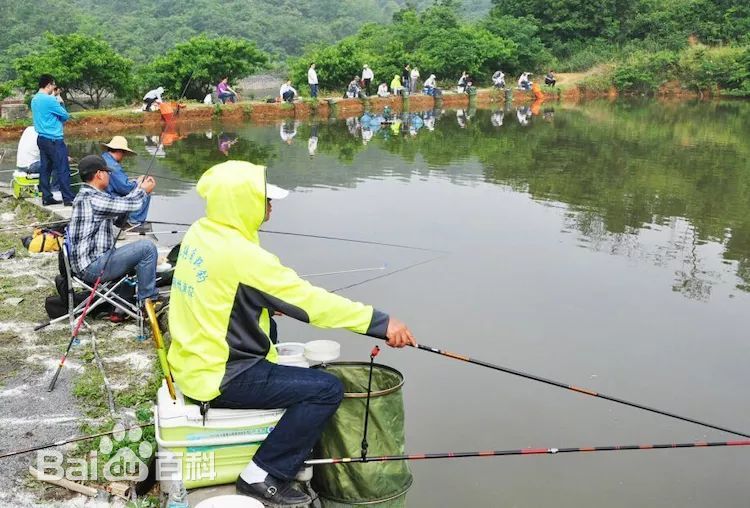 六安市汪小龙生态园图片