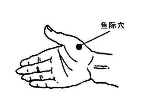 今日小满 ,勤耕"中丹田"