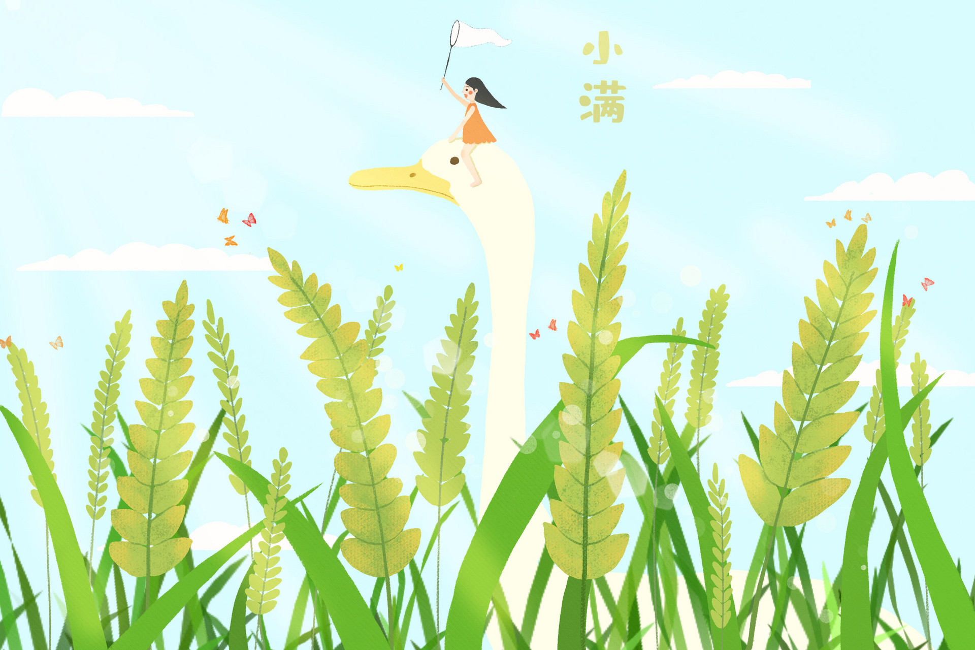 今日小满,养生须知