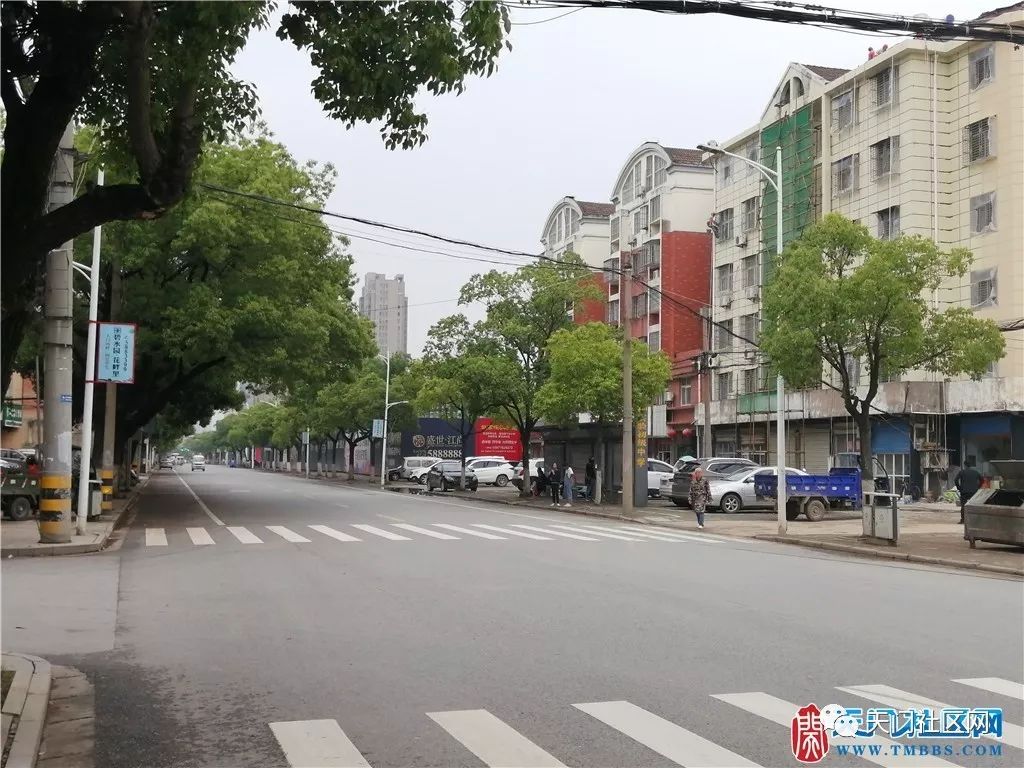 天门网站建设路 来自搜狐网