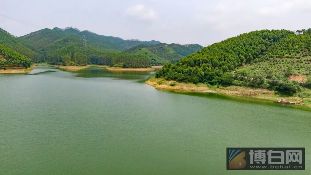 网曝博白某小区的饮用水为水库死水小编亲临水厂发现诸多内幕