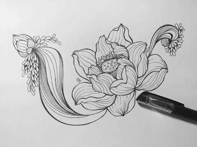 小央美:如果连线描都练不好,还怎么练好造型?_线条