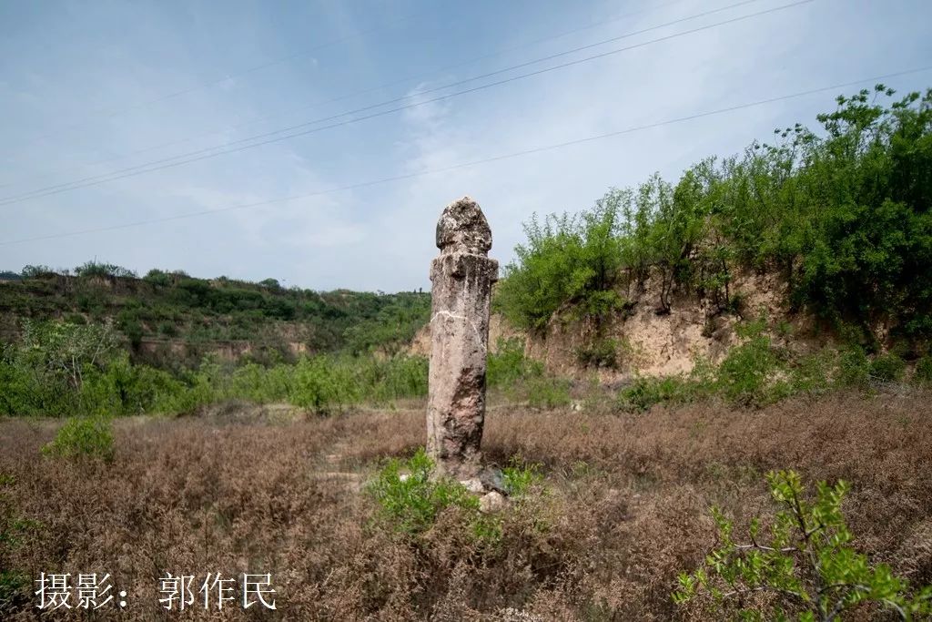 河南灵宝古墓遗址图片