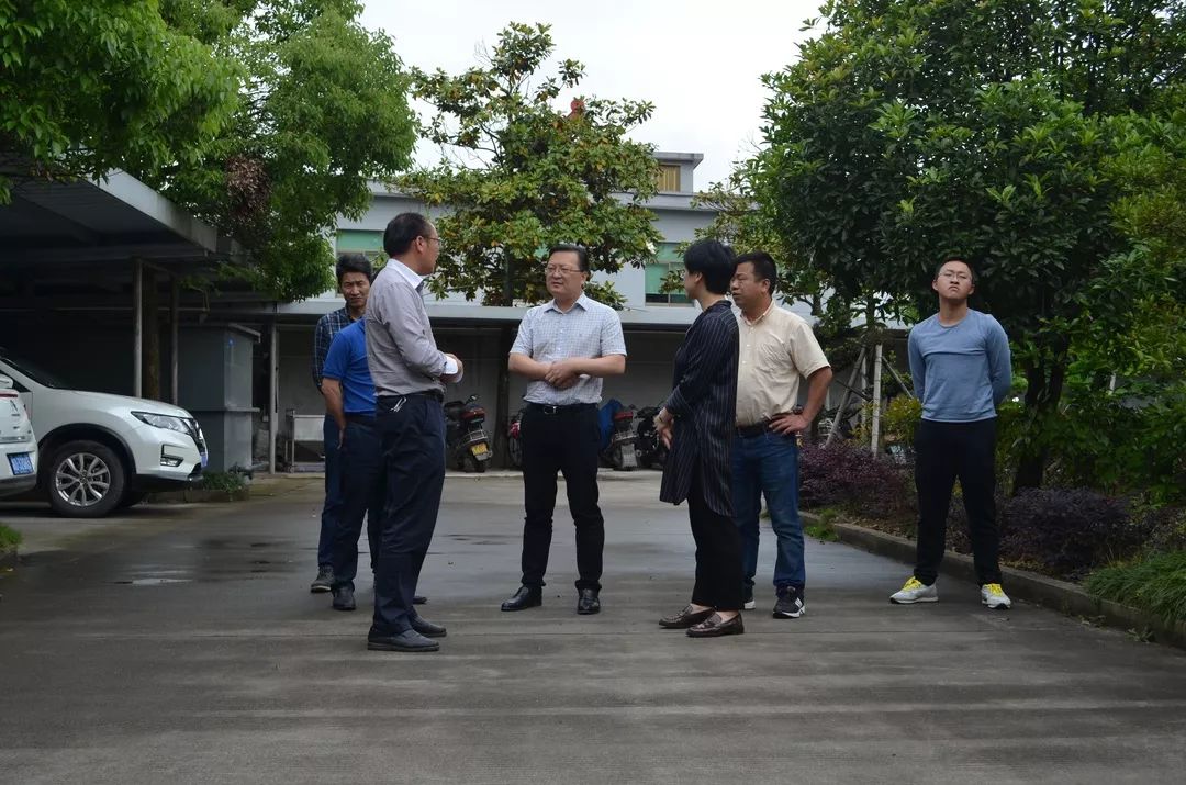 高标稳步推进】县领导督查"污水零直排区"建设工作_吕田