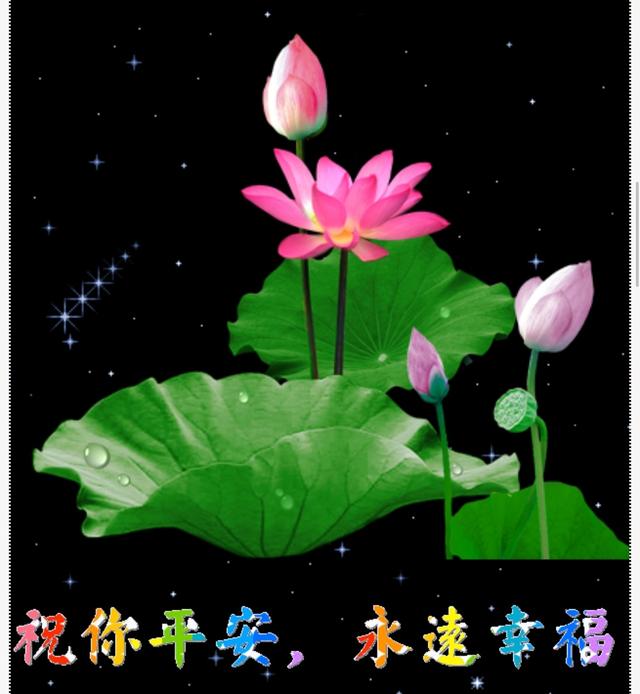 21,早上好!小满,祝福您好运满满,幸福满满!