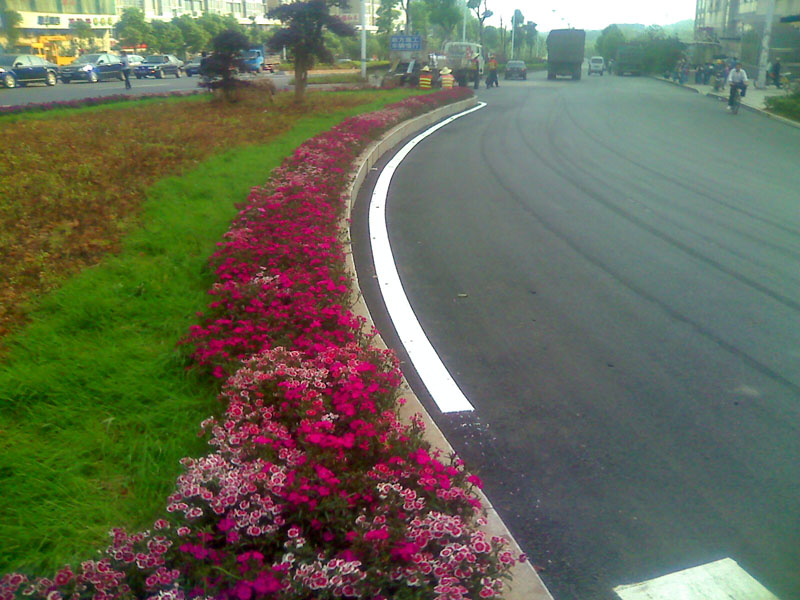 汤建才丨早晨上班路上感受