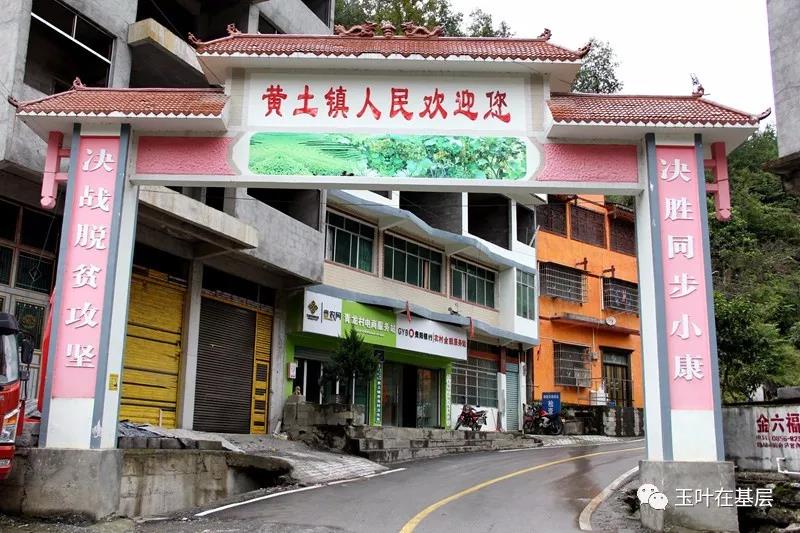 沿河黄土镇:巧念山字经 荒山变金山