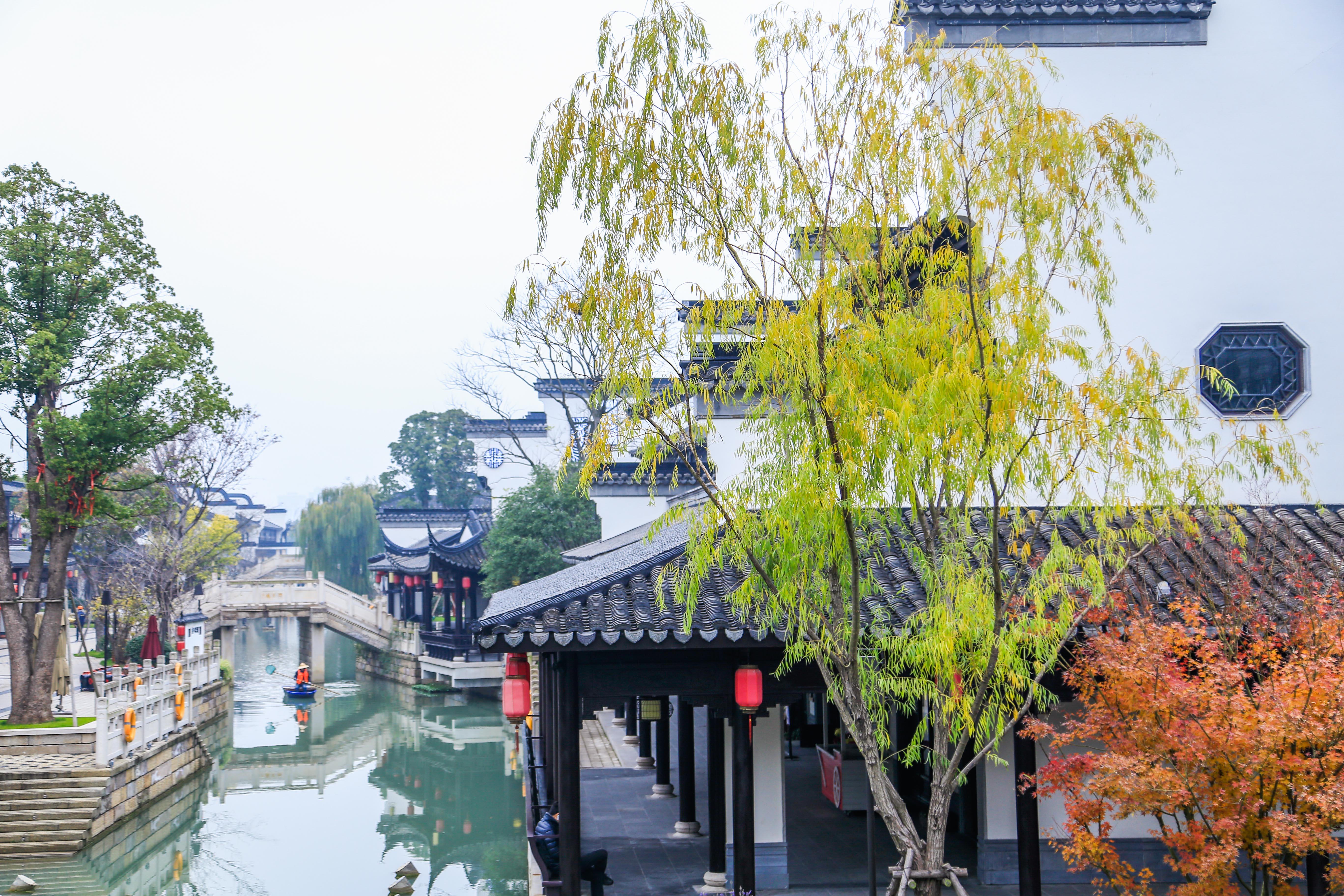 寻味越里，感受烟雨江南里的雅致生活