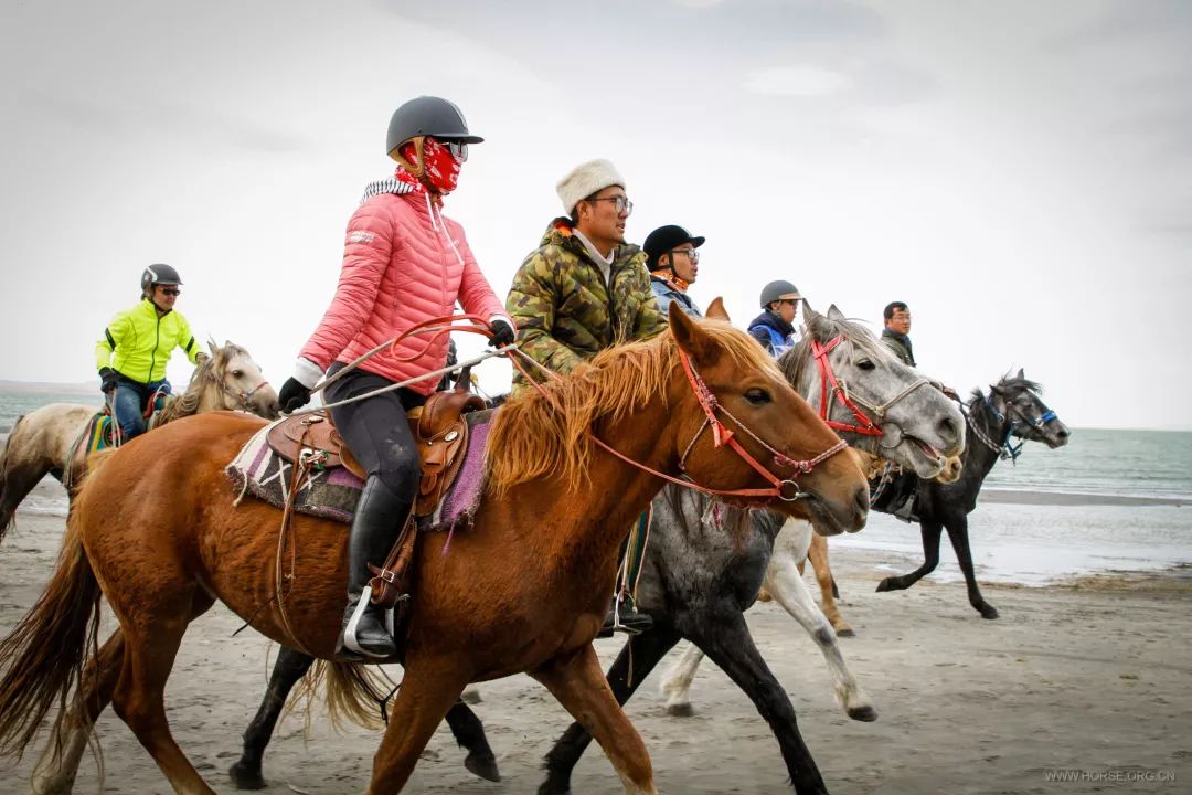 逃离城市的喧嚣跨上马背到乌兰布统去撒野