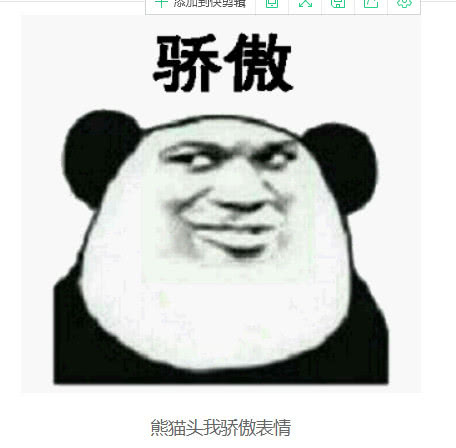 傲娇熊猫人表情包图片