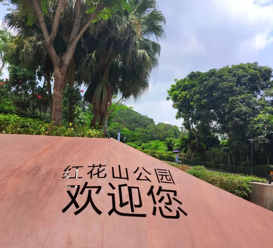 深圳又一个全新的儿童公园免费开放,酝酿一年终于来了!_红花山