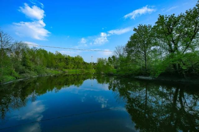 多美图来袭庐阳蓝美爆了朋友圈