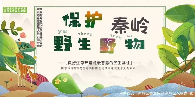 新城区发布"打击整治破坏秦岭野生动物资源违法犯罪专项行动"主题公益