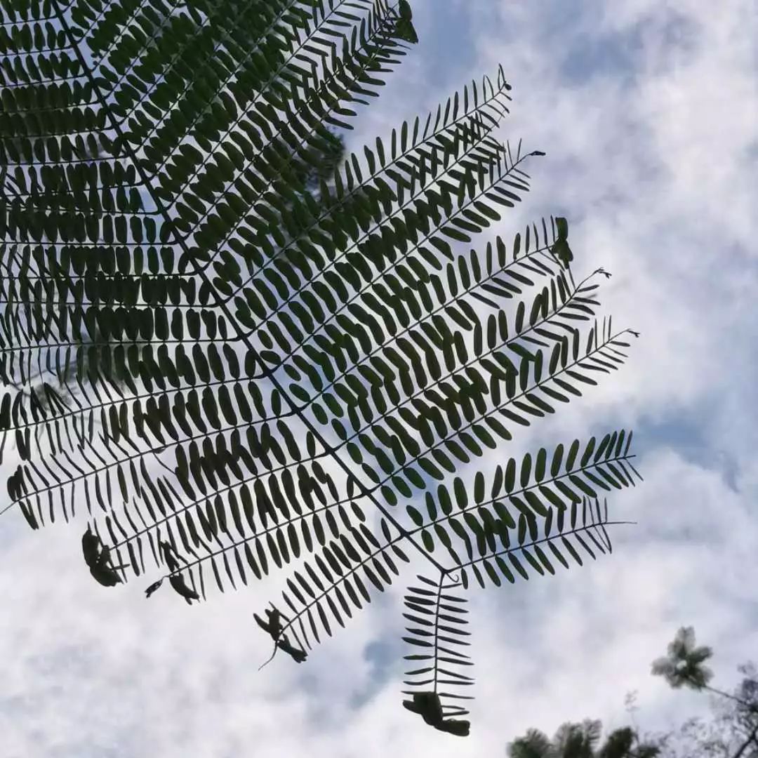 昨天只是序幕今日份的情头意合请查收