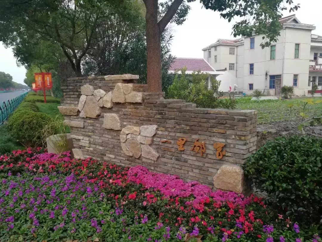 活动报名崇明港沿镇这一片花海等你来奇遇