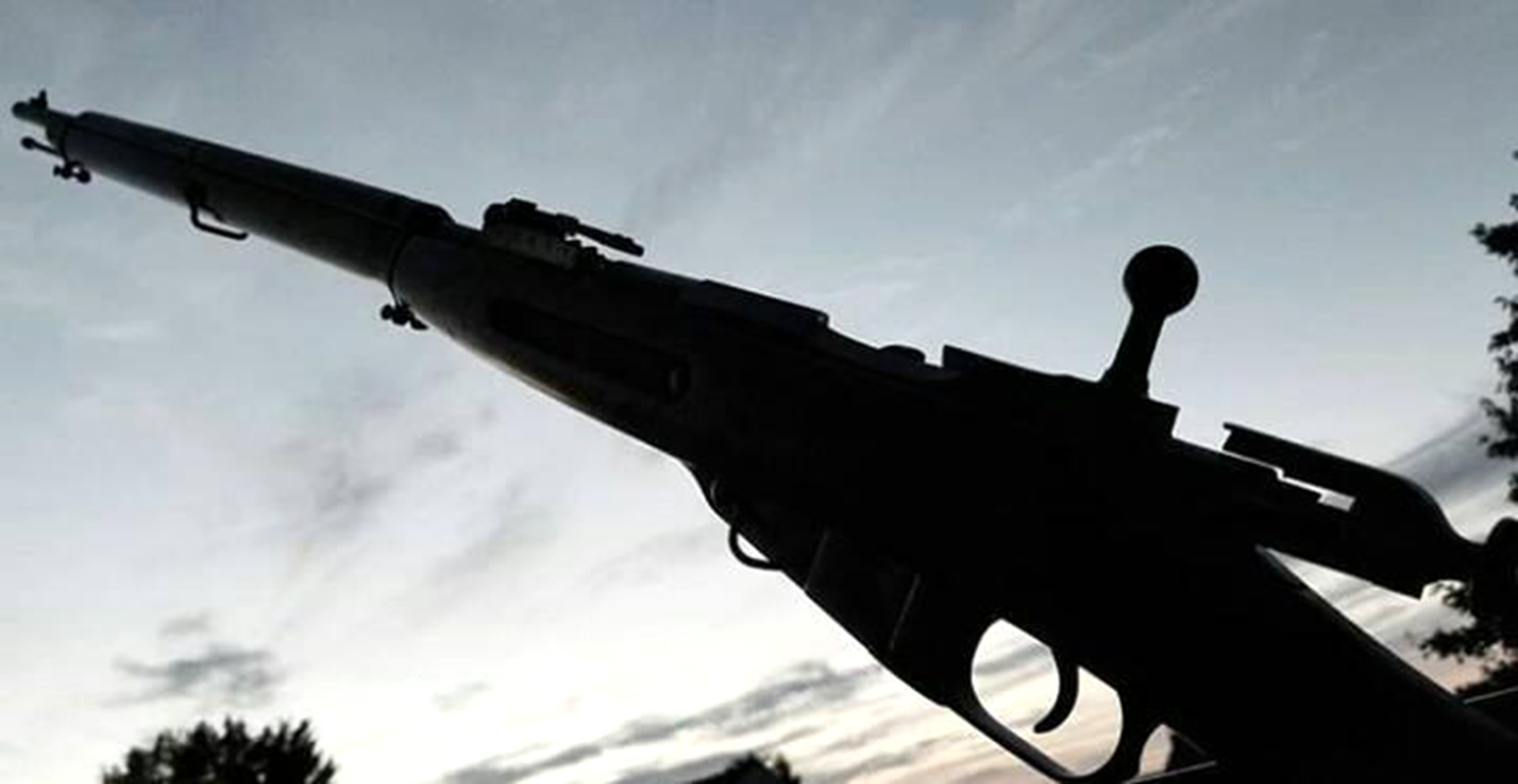 轻武器欣赏经典枪械图喜欢的看看吧