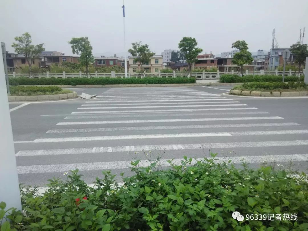 【有图有真相】公共停车位被占用,人行横道设计不合理