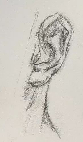 超强干货丨全网最全面的耳朵素描教程