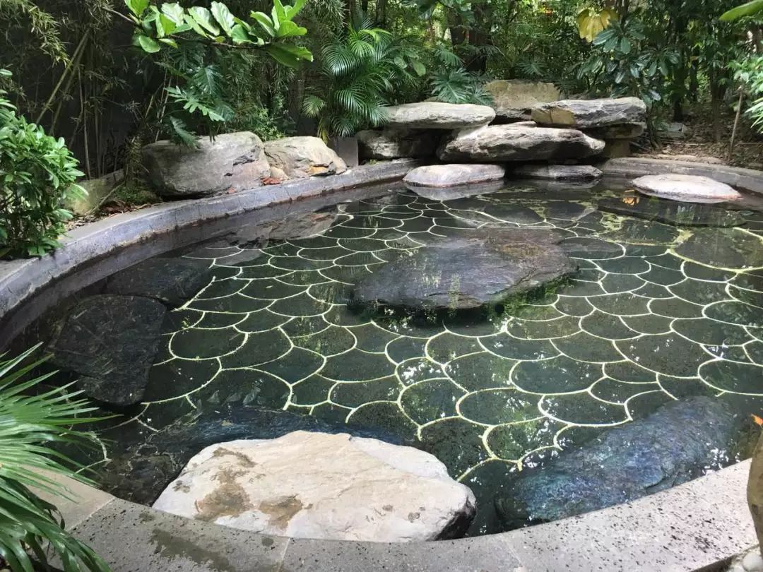 59月一湖一泉两水五山惠州中海汤泉酒店传承千年东坡文脉私享岭南顶级