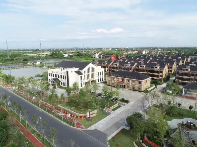 四好农村路绘出田园美好生活禹越镇三林村随访