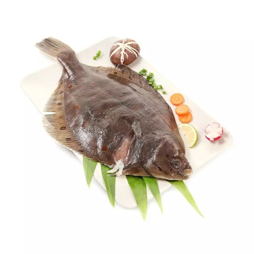 其中最典型的就是鲆鱼与鲽鱼,鲽鱼就是我们常说的比目鱼,这哥俩都是