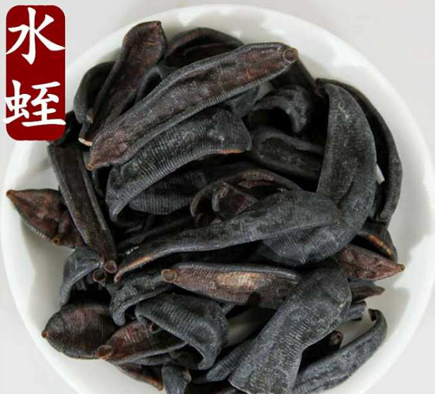 蛭尚美摆脱水蛭养殖三大误区